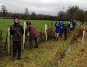 Jubilee Woods work day